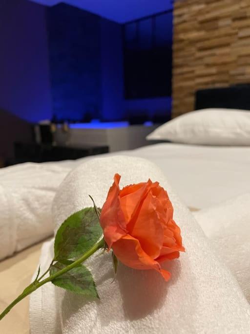 Le Cocon Des Granges - Suite Sauna Jaccuzi Spa Bonnieres-sur-Seine Dış mekan fotoğraf